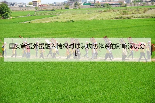 国安新援外援融入情况对球队攻防体系的影响深度分析